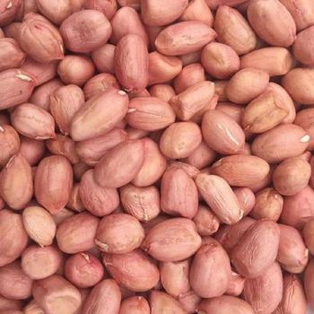 Premium Red Skin Peanuts 1kg Packaging 100% Pure Raw Dried Peanuts for Export Wholesale Snacks - PLANETE COMMERCE - France