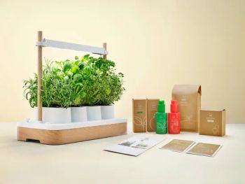 Mini Smart Solar Hydroponic System Garden Bundle Featuring Innovative Pots & Planters - Plant Fun ( Xiamen) Co., Ltd. - China