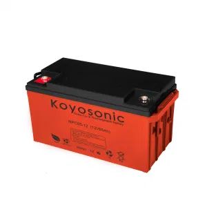 48V Battery Pack 12V 65ah AGM Deep Cycle Battery Bank LiFePO4 Battery Packs - Koyosonic Power Co., Ltd. - China