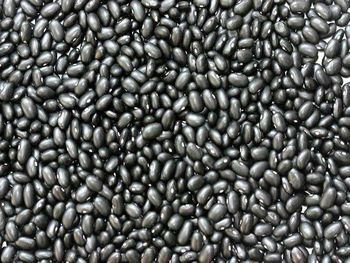 Black Kidney Beans - Growlentis Enterprise Limited - Kenya
