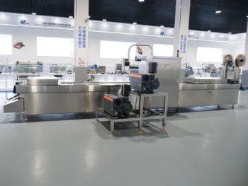 Automatic Stretch Film Thermoforming Vacuum Packaging Machine - Shandong Xinfeng Intelligent Technology Co., Ltd. - China
