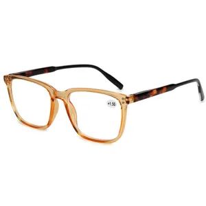 Fashion Unisex Plastic Big Size Oversize Frames Reading Glasses - Sky & Sea Optical MFY Co., Ltd. - China