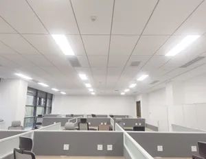 Acoustic Ceiling Panels with High-Quality Mineral Wool Composition - Shanghai Tian Yu Materials Development Co., Ltd. - China