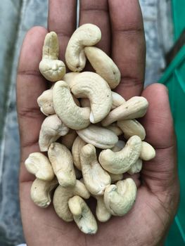 Agriculture, Food & Beverage - GPA India - Uzbekistan