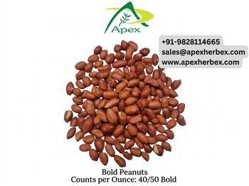 Bold Peanut 4050, Bold Peanut 40 50,Peanut, Peanuts, Arachis hypogaea, Bold Peanuts Kernels, Bold Peanut, Indian Bold Peanut, Indian Bold Peanuts, Peanuts Kernels, Peanut With Shell, Peanuts,Indian Peanut, Bold Peanut Supplier From India. - APEX INTERNATIONAL - India