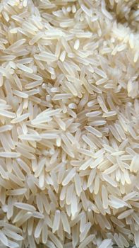 Raw Rice - jbssa - Brazil