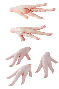 Frozen Chicken Paws - Niobium Export - United States