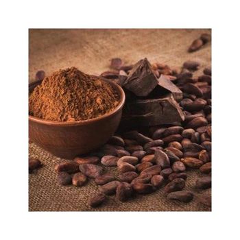 Premium Quality Alkalized Cocoa Powder Wholesale Supply At Factory Price For Sale - MASI TRADING GMBH - Germany