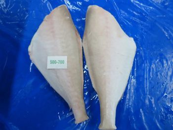 Frozen Leather Jacket Fish HGT (Headless, Gutted & Tail-Off) | Supplier & Exporter India | Bulk Wholesale Seafood from AMAZE SEAFOOD TRADE Frozen Leather Jacket Fish HGT (Headless, Gutted & Tail-Off) | Supplier & Exporter India | Bulk Wholesale Seafood – product photo, Frozen Bovine Tail products found from trusted suppliers, wholesalers, manufacturers & exporters Listing