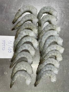 Frozen Prawns Tail Naturally Selected Seafood Offering High Protein Content For Restaurant Procurement And Bulk Orders - TOSOH INTERNATIONAL - South Africa