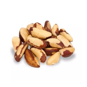 Brazilian nuts bulk supply wholesale cheap price premium quality - Mundus Exports Pty Ltd - South Africa