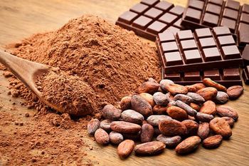 Dried cocoa beans - Monte Cedar Pty Ltd - Russian Federation