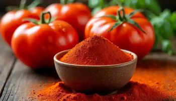 Premium Wholesale Tomato Powder Made from Fresh, Ripe, Sun-Dried Tomatoes – 100% Natural Food-Grade Ingredient for Soups, Sauces, Seasonings, Instant Meals, and Food Manufacturing Applications with Rich Flavor, Bright Red Color, Long Shelf Life, and High Nutritional Value, Suitable for Industrial Food Production and Bulk Export Supply Worldwide - agroturaspzoo - Poland