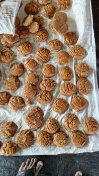 Jaggery from Shiv Traders Jaggery - Shiv Traders - India