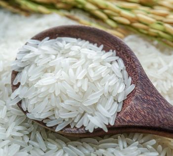 High Quality Mahmood Rice 1121 Basmati White Long Grains Rice Available For Sale At Low Price - AGRONOVA - United States