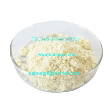 100% Natural Royal jelly freeze-dried powder/ quality royal jelly powder 10-HDA 6% - Henan Tangxia Technology Co., Ltd. - China