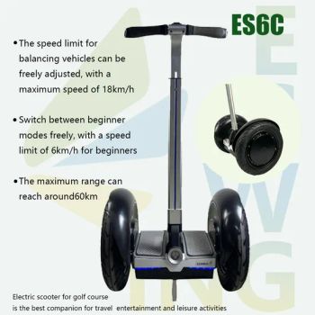 All Terrain Balance Car Self Balancing Electric Scooters Electric Chariot 60V 2400W - Fujian Dazhen Sporting Goods Co., Ltd. - China