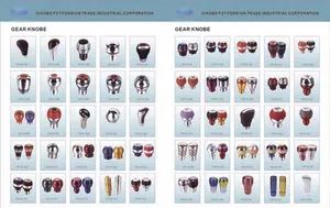 Car Gear Knob Min. Order: 500 Payment Terms: L/C, T/T - Fst Foreign Trade Industrial Corporation Company - China