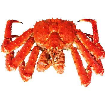 Fresh / frozen crab Type Fresh / Frozen Crab Max Moisture 80–85% (natural) Grade Premium / Export Quality Ingredient 100% Crab (no Additives) - Lawana and Sons Supplies - South Africa