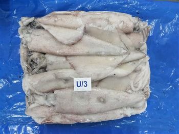 FROZEN SQUID Packaging 4 X 5 KGS Place of Origin INDIA Product Types Frozen Seafood Processing Frozen, Cleaned, Cut, Packaged - KUBER SEA FOODS - India
