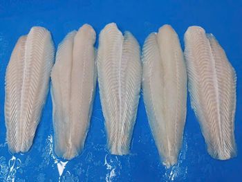 PANGASIUS FILET - SEAFOOD VIET NAM AGENT - Vietnam