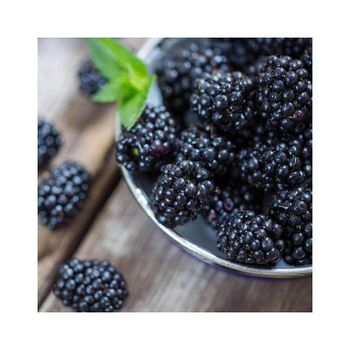 Fresh blackberries available in bulk for global produce and retail supply - Mundus Exports Pty Ltd - South Africa