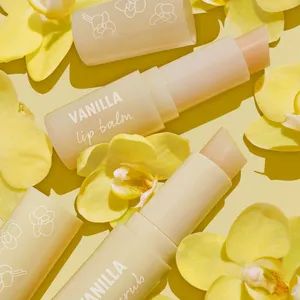 Custom Antioxidant Vanilla Nourish Lip Exfoliator Vegan Lip Scrub Balm - Rhine International Biotechnology (Guangdong) Co., Ltd. - China