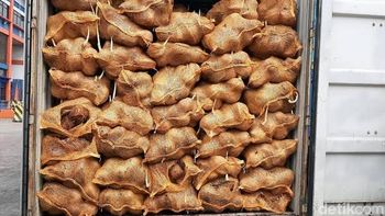 Semi Husk Coconut - Moyuda International Trade - Indonesia
