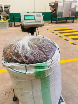 Cocoa Nibs Origin Uganda Bean Type Criollo, Forastero Degree of Processing Roasted - Aadrea Essential Oils - Uganda