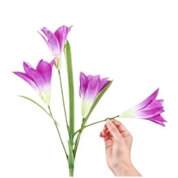 Outdoor Solar LED Light Emitting Diode Simulation Lily Flower Lamp Home Decoration Lawn Garden Villa Waterproof Lamp - Yueqing Fiy Electric Co., Ltd. - China