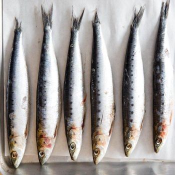 High Quality Frozen Whole Sardine Fish Natural Flavor Seafood Product For Wholesale Buyers Restaurants - TRADECENTRIC LLC - United States