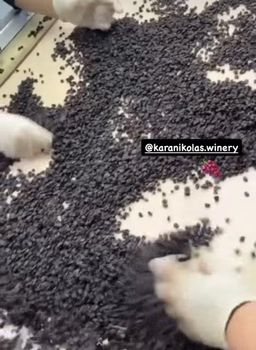 Currants-raisins  - KARANIKOLAS WINERY LP  - Greece