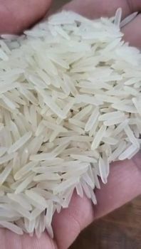 1121Pure Basmati Sella Rice – product photo, Sella Rice products found from trusted suppliers, wholesalers, manufacturers & exporters Listing