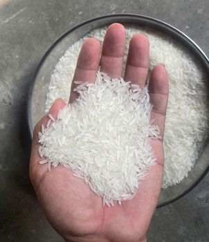 Jasmine, Japonica Rice Delivery Form Instant - Mekong Group - Vietnam