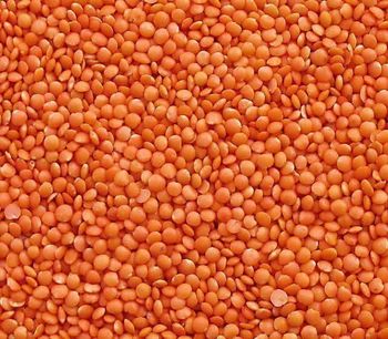 Whole Dry 2.0mm / 3.5mm / 4.0mm / 5.0mm Split Lentils Red Lentils Green Lentils -  DAEWKAEW PANTAMANG Co., Ltd - Thailand