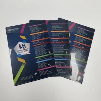 Dark Color Plastic L Shape File Folder PP Pockets Folders for Office - Wenzhou Qiepai Stationery Co., Ltd. - China