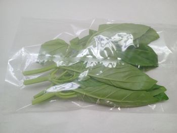 basil - Tundafresh - Kenya