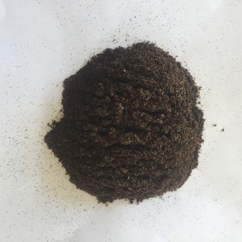 RENDAH PLANIFOLIA GOURMET MEDIUM VANILLA POWDER 100% Natural Hot Selling Indonesian Best Bourbon Quality with Best Price - Rendah Vanilla - Indonesia