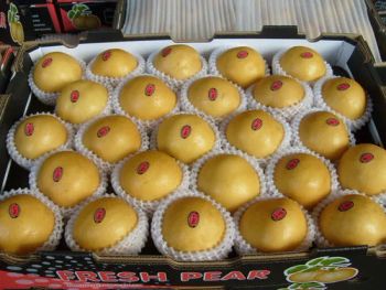 Chinese Shandong Crown Fresh-Frozen Ya Pear Type Fruit Style Whole HS Code 8082012 Specification 80/96 Trademark Green - JINING GREEN GARDEN INTERNATIONAL TRADE CO., LTD. - China