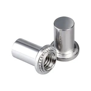 Heavy Duty Stainless Steel Natural Blind Rivet Nuts with Waterproof Design - Ningbo Yongbiao Fastener Co., Ltd - China