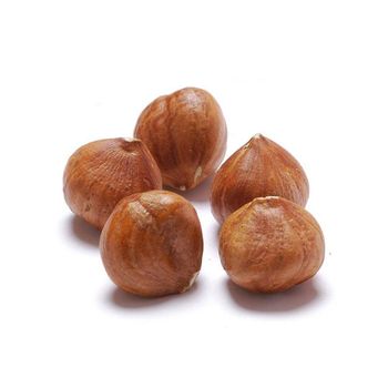 Natural Taste Quality Blanched Hazelnut/Hazel Nut at Low Price from MT Trading GmbH Natural Taste Quality Blanched Hazelnut/Hazel Nut at Low Price - MT Trading GmbH - Germany