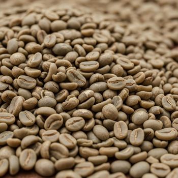 Natural Process Arabica Coffee Bean Bulk Trade Fresh Coffee Bean Supply For Coffee Roasters Beverage Factories And Retail Chains - THE GREEN INTERNATIONAL LIMITED - Tanzania