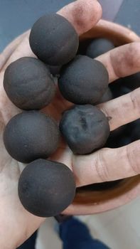Black lemon - Green Alliance Company - Egypt