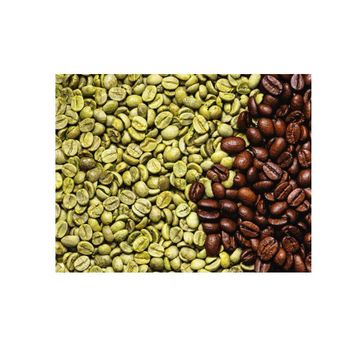 Arabica Green Coffee Beans High Quality Robusta Coffee Beans / Green And Roasted Robusta Coffee Beans wholesale 100% natural - Nedvixs Company Limited - Kenya