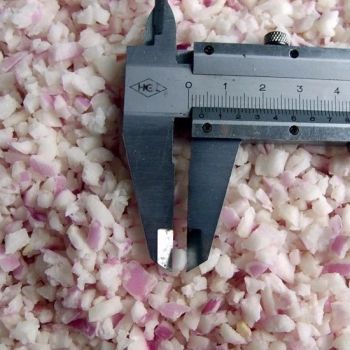 IQF Frozen Onion Dice 6X6mm, 10X10mm Onion Supplier Style Dice Origin China Trademark OEM Processing IQF Specification - Ruiqiu Foods Co., Ltd. - China