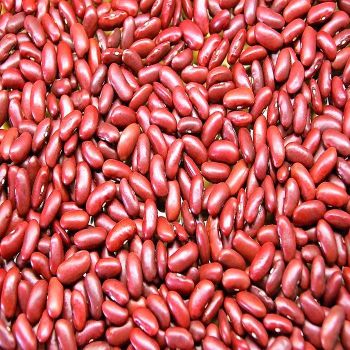 Wholesale Supplier Red Kidney Beans Best Price 100% Organic Kidney Beans in Stock Cheap Price for Sale - TRADECENTRIC LLC - United States