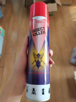 Mosquito Roach Insect Killer Spray 400ml 24Cans/CTN 3Y Eco-Friendly 18-25D - Guangdong Dream Fine Daily Chemical Co., Ltd. - China
