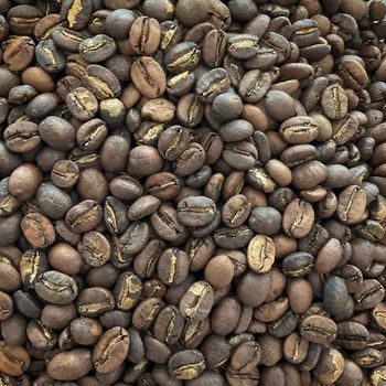 Coffee bean Grade 18a - Global Coffee Traders LLC - China