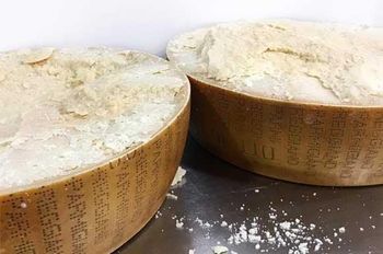 Parmigiano Reggiano Whole Wheel Cheese Grade Premium Type 24/36 Month - AgronoMarket - United States