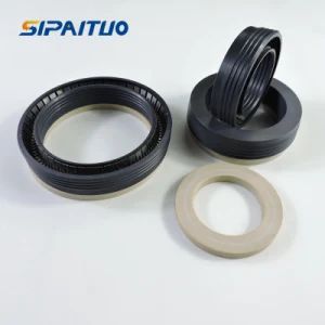 PTFE Based Material Mechanical Variseal Spring Energized Seal - Hebei SPT Seals Technology Co., Ltd. - China